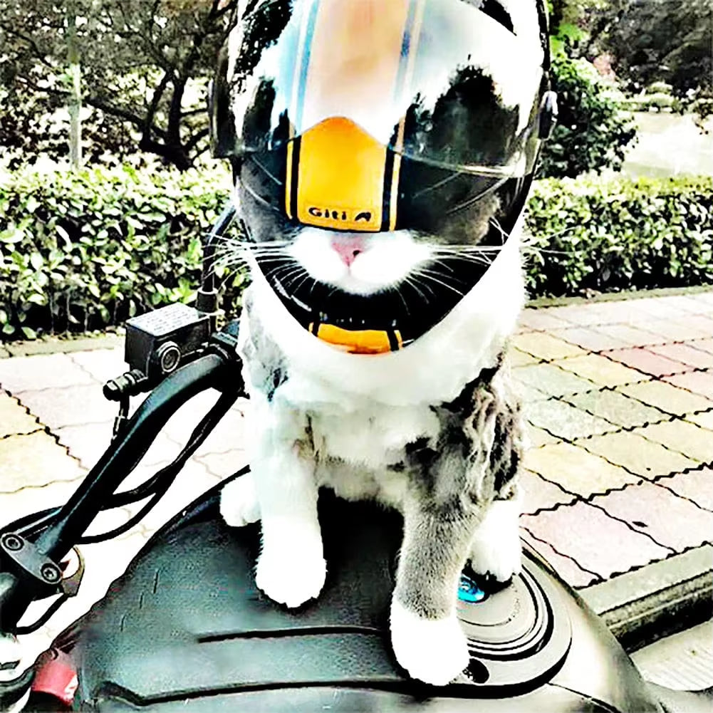 Handsome Pet Helmet,Cute Cat Dog Cap Outdoor Anti-Collision Mini Motorcycle Helmet Cat Dog Styling Photo Props Pet Hat