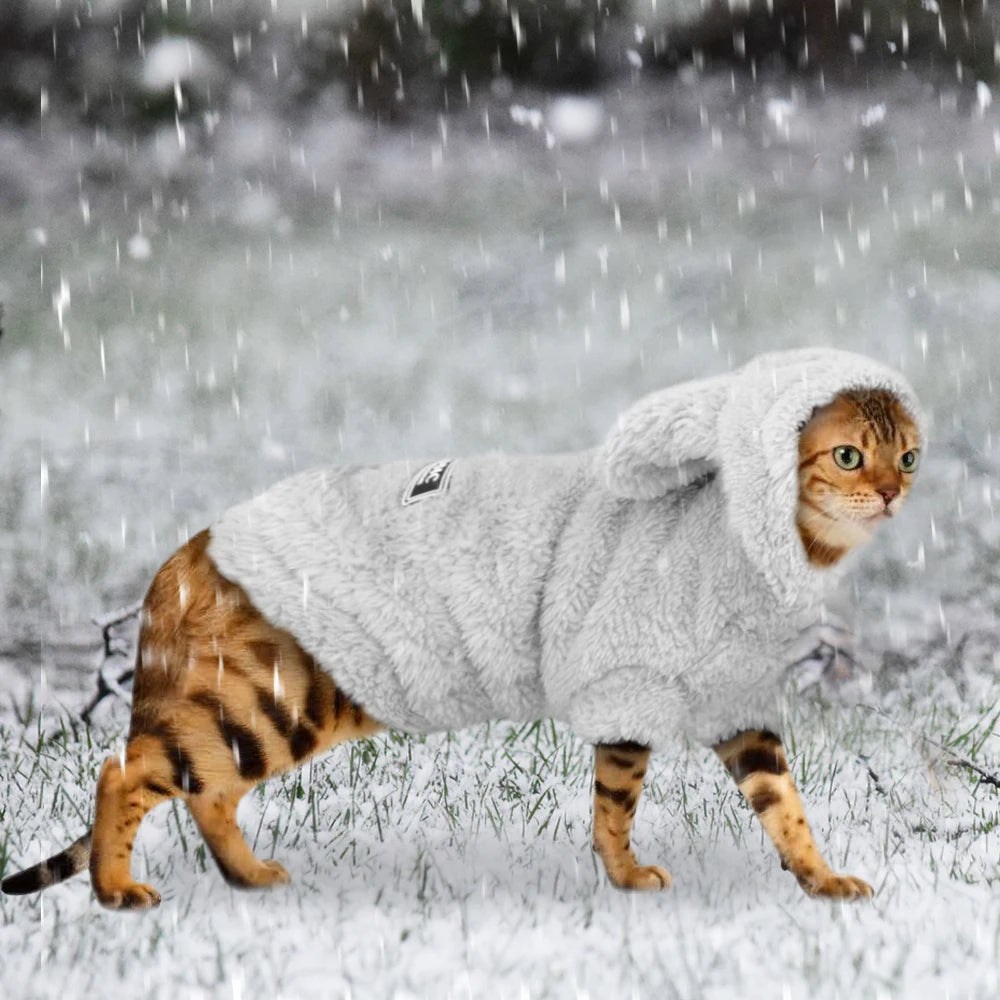 Warm Winter Clothes for Cats & Puppies