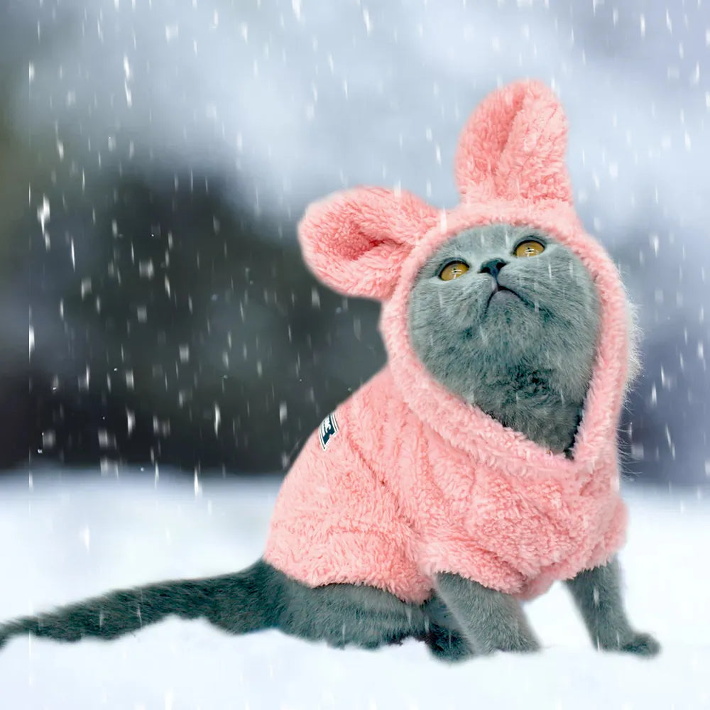 Warm Winter Clothes for Cats & Puppies