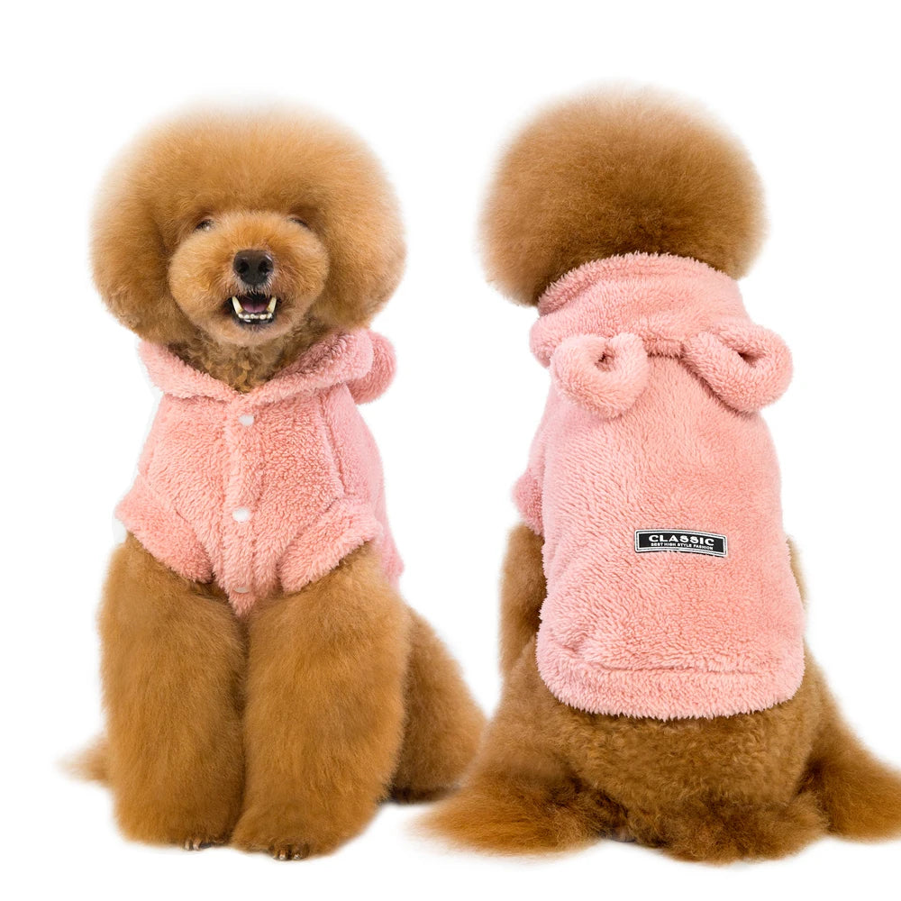 Warm Winter Clothes for Cats & Puppies