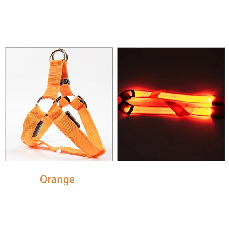 USB Charging Rechargeable Nylon Dog Collar LED Light Flashing Night Safety Anti Lost Pet Harness