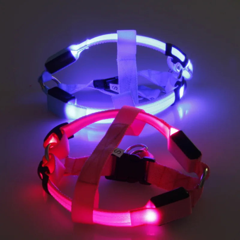 USB Charging Rechargeable Nylon Dog Collar LED Light Flashing Night Safety Anti Lost Pet Harness