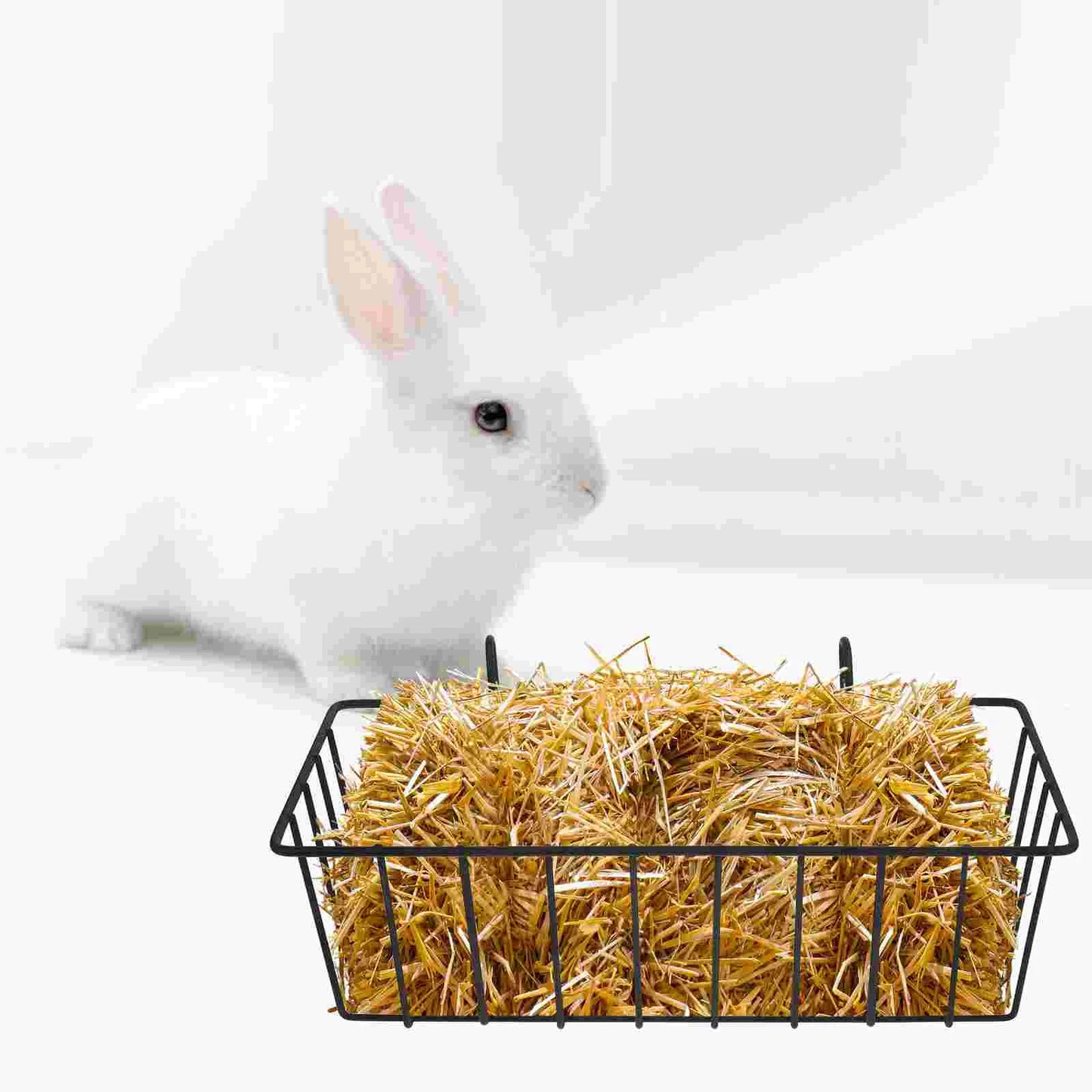 2 Pcs Chinchilla Rabbit Hay Feeder Baby Hamster Toys Carrier Wrought Iron Pet Cage Supply