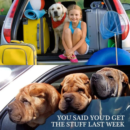 Ensure Your Precious Pet's Safety and Happiness on the Road with this Secure, Adjustable, and Comfortable 1pc Travel Harness Sea