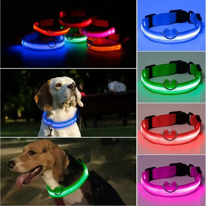 Fashion Pet Dog Collar Nylon Glow LED Glowing Cat Collars Adjustable Dog Leash Anti-loss Pet Cats Dogs Harness Accessories