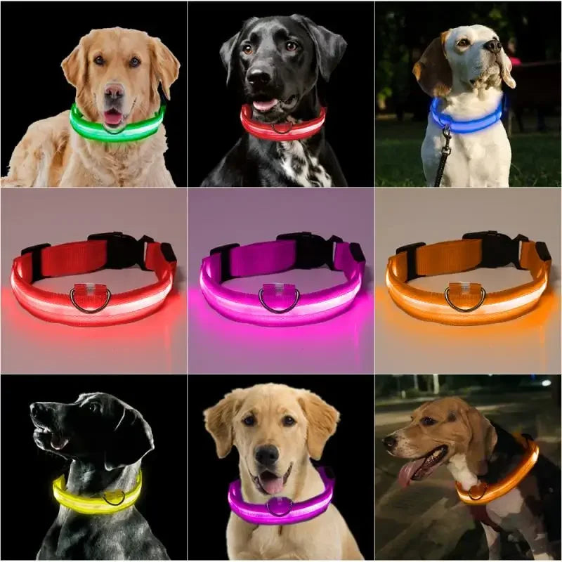 Fashion Pet Dog Collar Nylon Glow LED Glowing Cat Collars Adjustable Dog Leash Anti-loss Pet Cats Dogs Harness Accessories